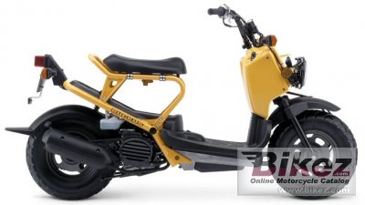 2004 honda ruckus photo